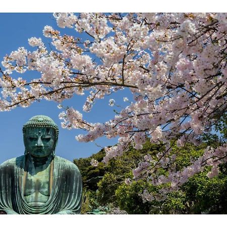 Halettohouse Sakanoshita - Vacation Stay 30106V Kamakura Eksteriør billede